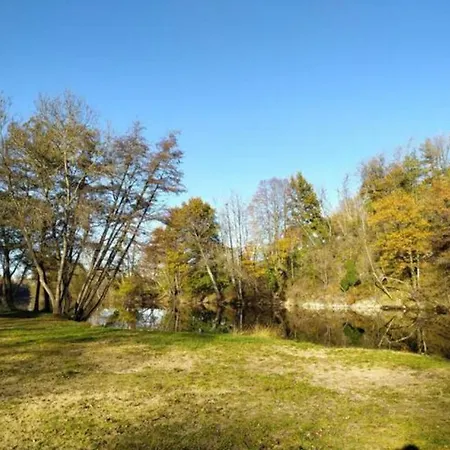 Petit T2 Au Bord De L'allier *